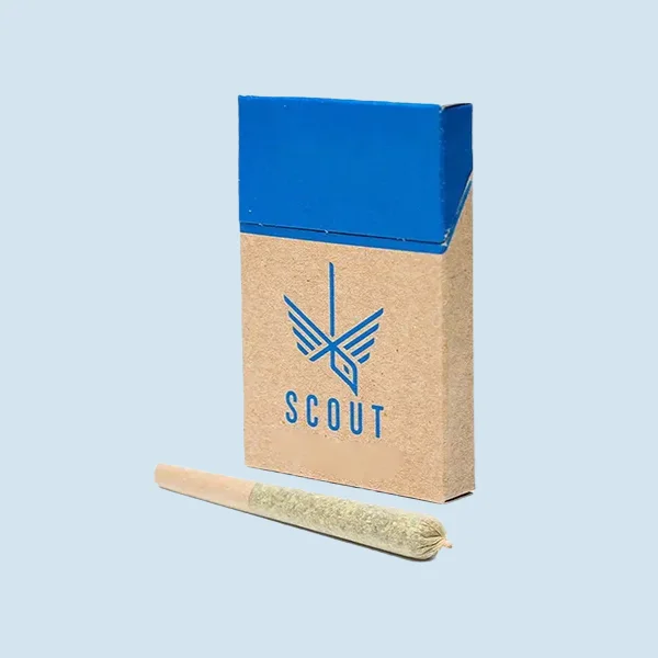 Indicia Pre Roll Boxes