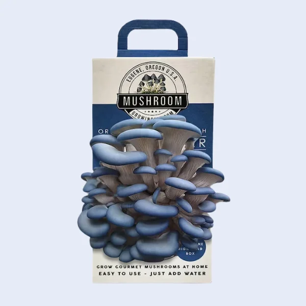 Mushroom Boxes