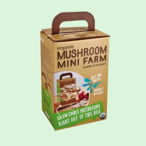 Mushroom Boxes