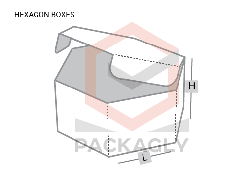 Hexagon Boxes Template