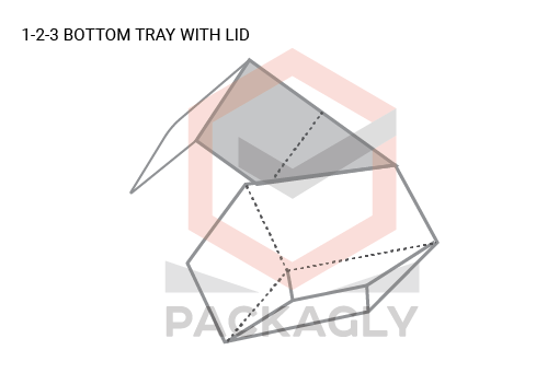 Custom 1-2-3 bottom tray with Lid Template
