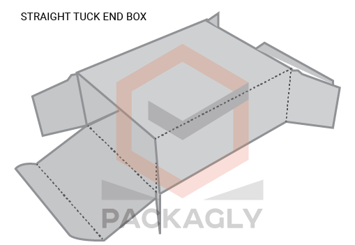 Custom Straight Tuck End Boxes Template