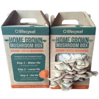 Custom_Mushroom_Boxes_Wholesale.jpg