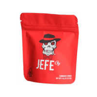 Custom_Mylar_Stand-up_Pouches1