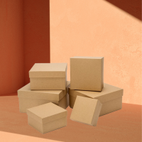 Kraft_Boxes_-_Packagly